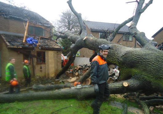 Impact and Natural Disaster Projects